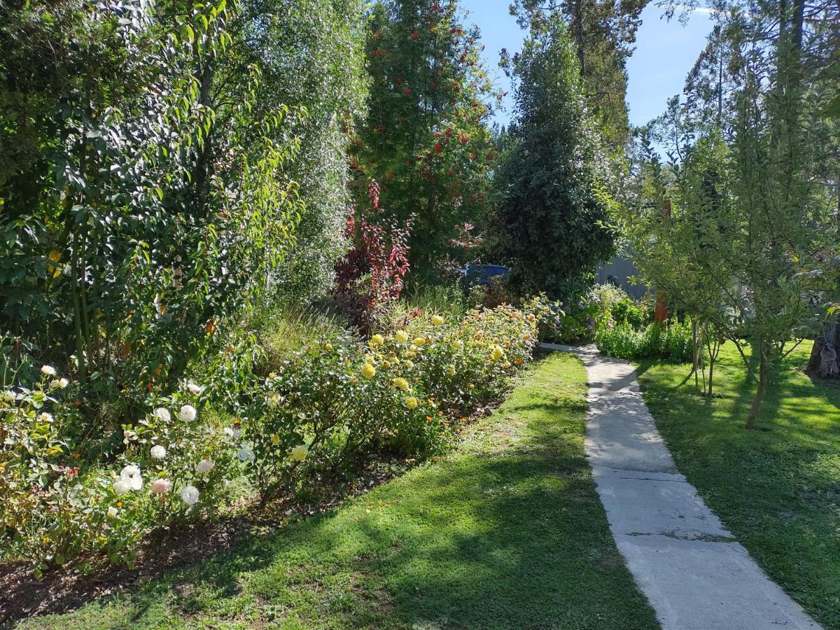 Apartamentos Bajo Cero Вілья-Ла-Ангостура Екстер'єр фото